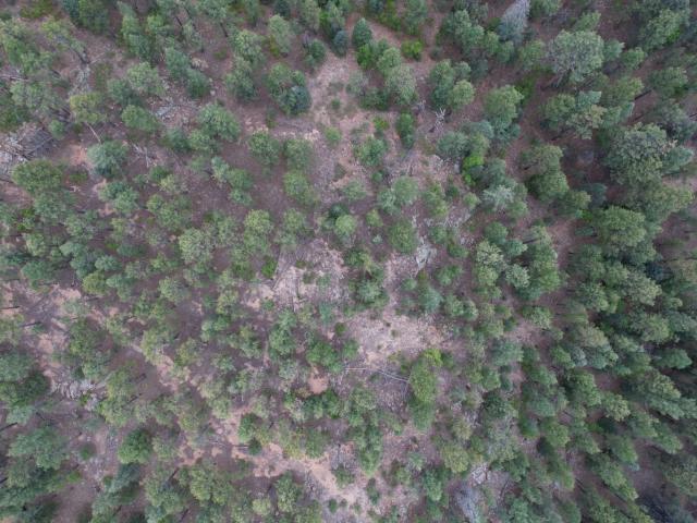 Land for sale in Mora, Mora County