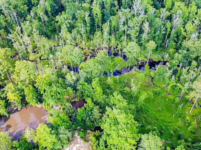Land for sale in Walterboro, Colleton County