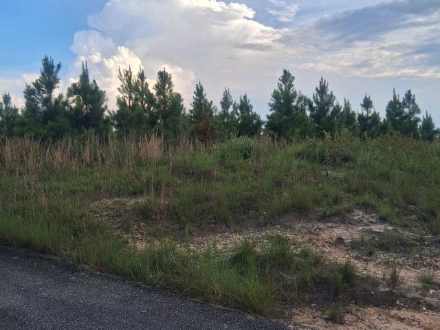 Land for sale in Dodge, Georgia