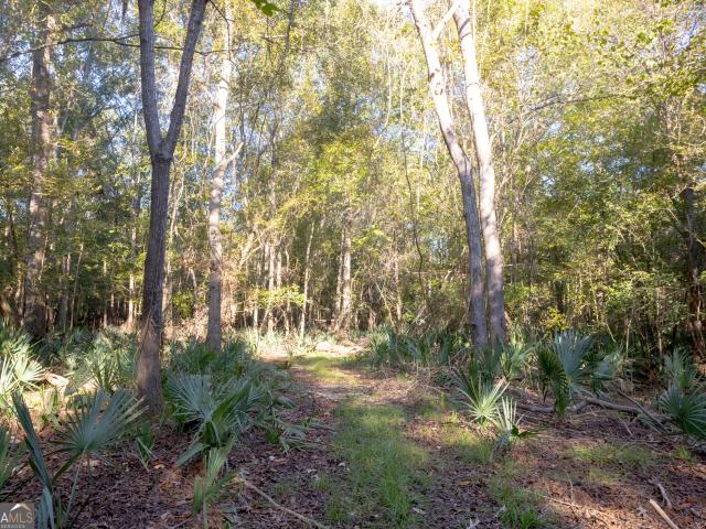 Land for sale in Dodge, Georgia
