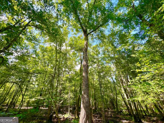 Land for sale in Pineview, Wilcox County