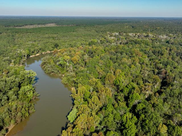 Land for sale in Dodge, Georgia