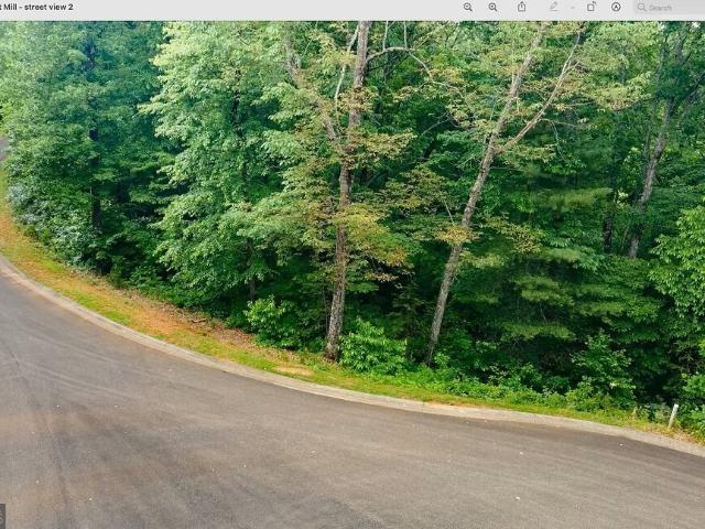 Land for sale in Gilmer, Georgia