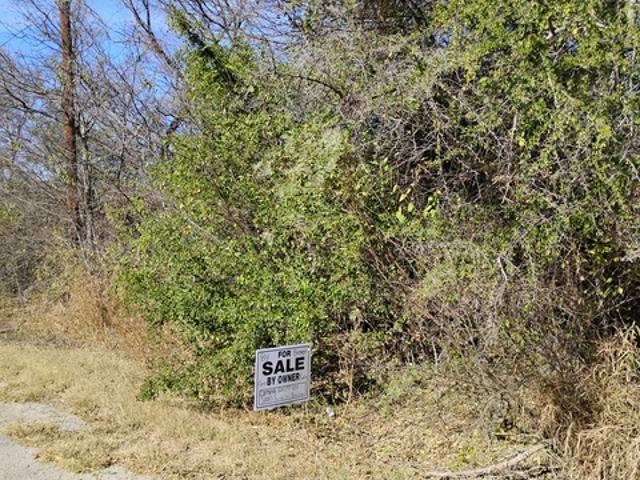 Land for sale in Quemado, Texas