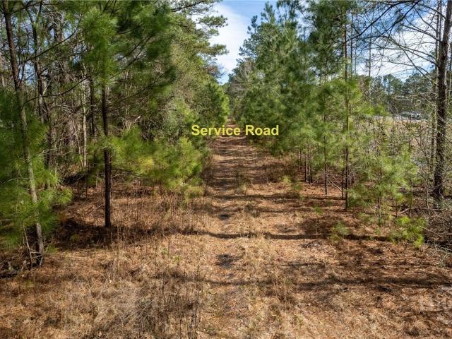 Commercial for sale in Savannah