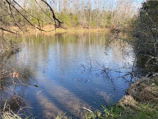 Land for sale in Honea Path, South Carolina