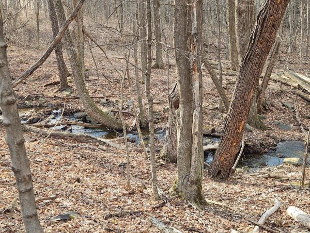 Property for sale in Cornwallville, New York