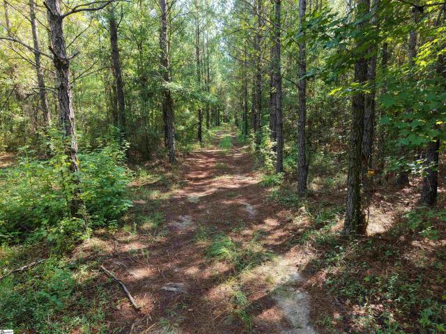 Land for sale in Bamberg, South Carolina