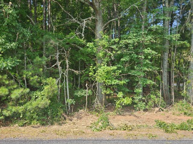 Land for sale in Rutledge, Georgia