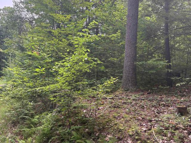Land for sale in New Hampshire