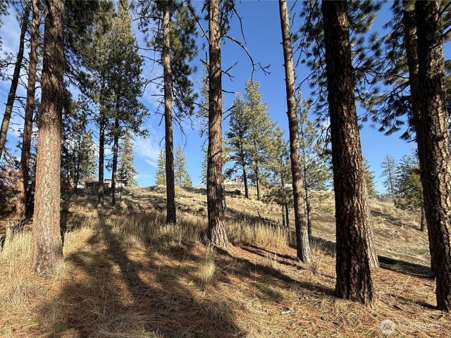 Land for sale in Republic, Washington