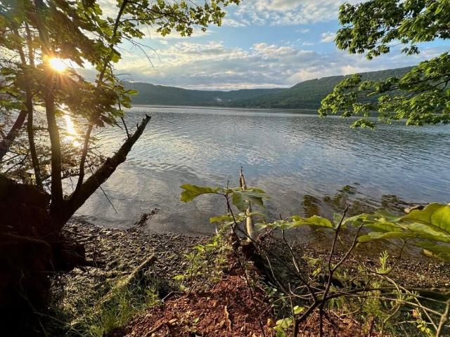 Land for sale in Tennessee