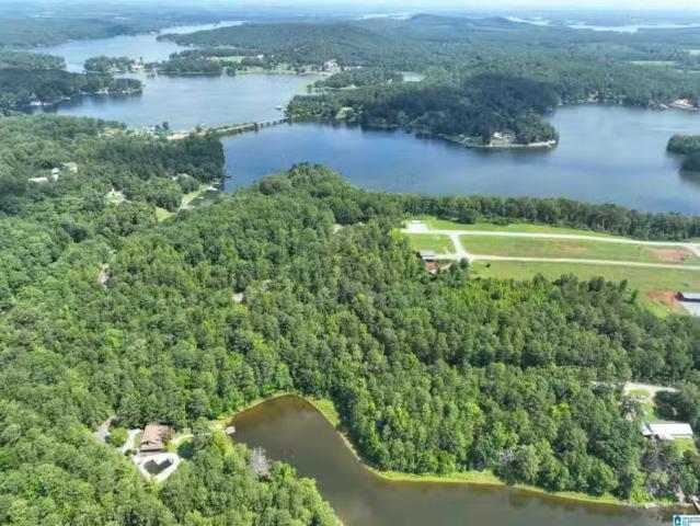 House for rent in Talladega House for rent in Talladega