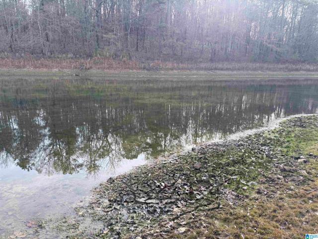 Land for sale in Childersburg, Alabama