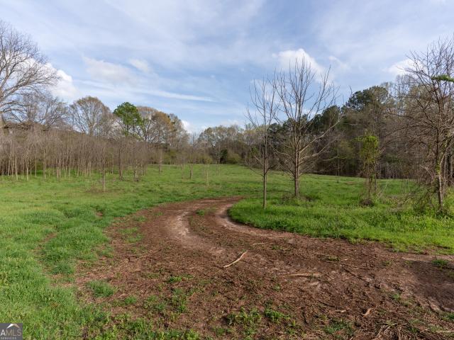 Land for sale in Shady Dale, Georgia