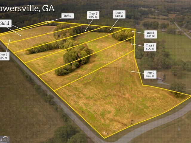 Land for sale in Bowersville, Georgia