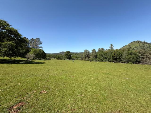 Land for sale in Angels Camp, California