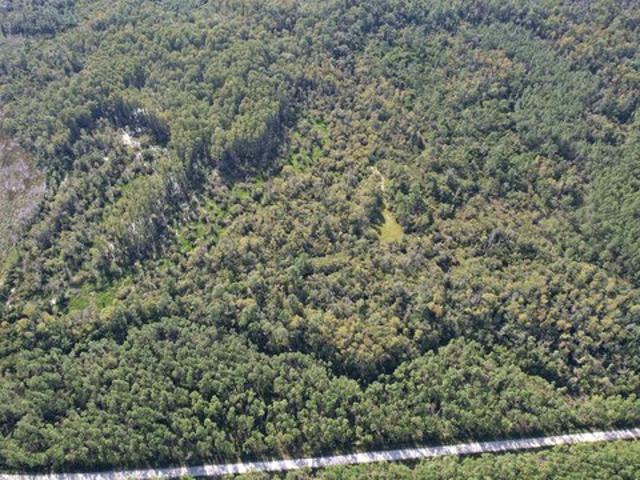 Land for sale in Perry, Taylor County
