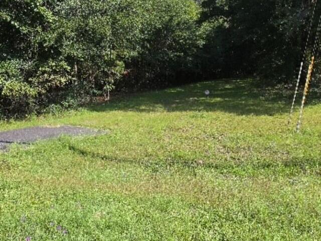 Land for sale in Hawkinsville, Georgia