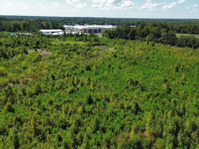 Land for sale in Dublin, Laurens County