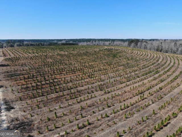 Land for sale in Helena, Georgia