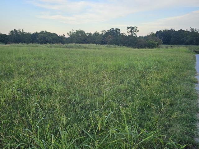 Land for sale in Tennessee