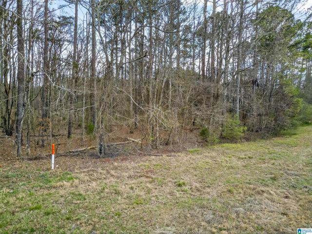 Land for sale in Jacksonville, Alabama