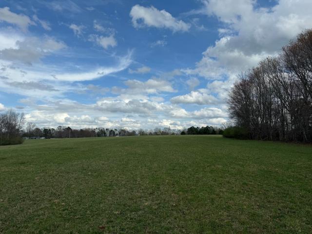 Land for sale in Alabama