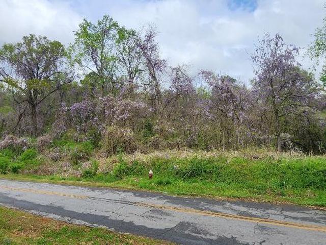 Land for sale in Rayle, Georgia
