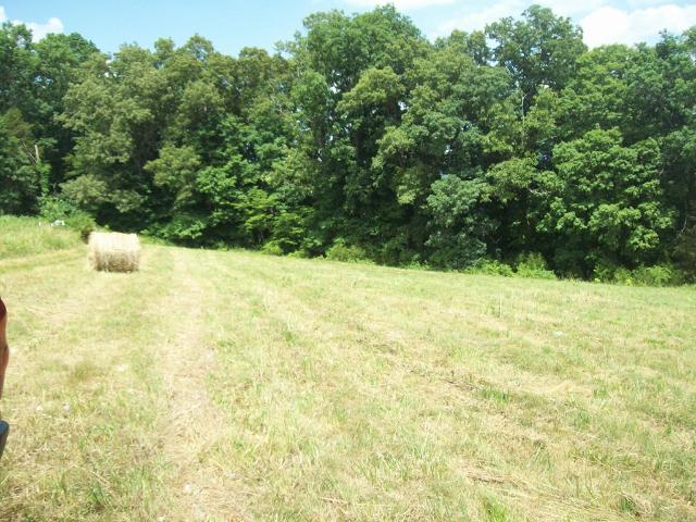 Land for sale in Tennessee