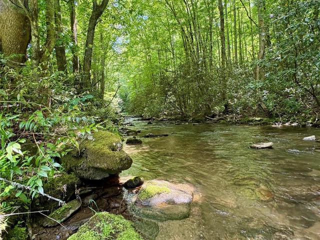 Land for sale in Bryson City, North Carolina
