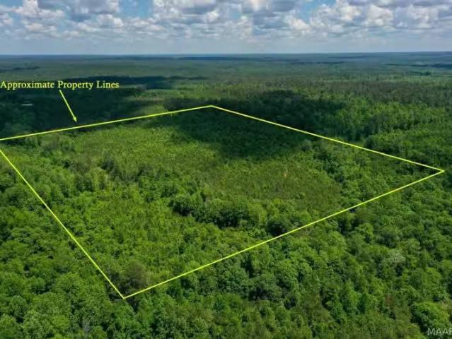 House for rent in Bay Minette, Alabama