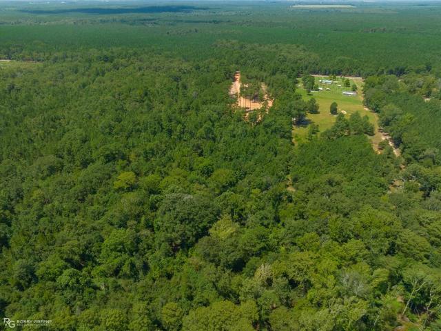 Land for sale in Benton, Louisiana