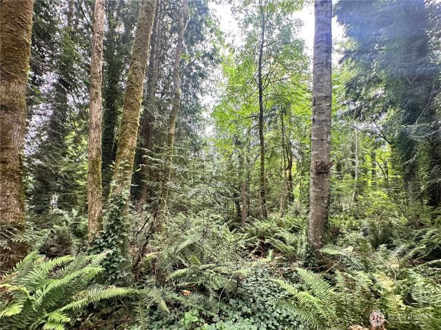 Land for sale in Washington