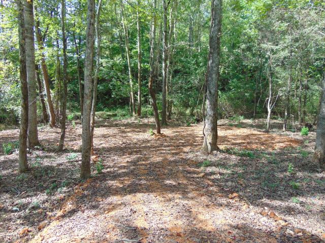 Land for sale in Alexander Springs, Ethridge