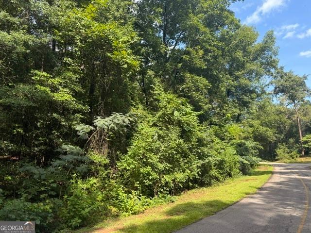 Land for sale in Fort Valley, Georgia