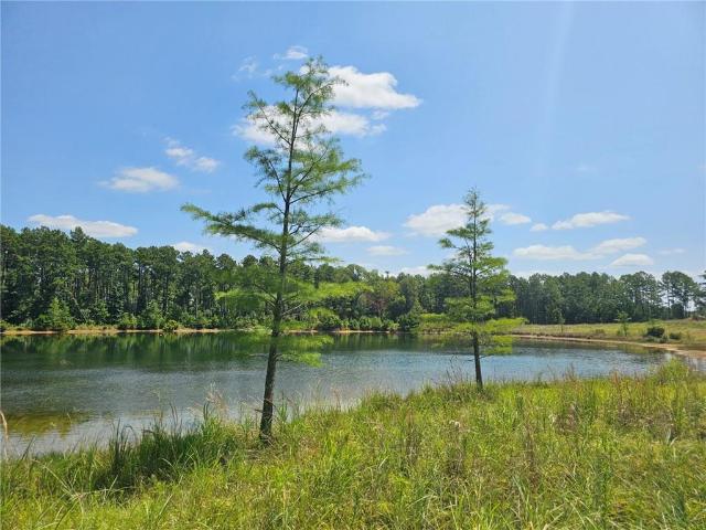 Land for sale in Leesville, Louisiana