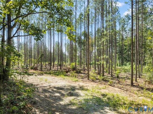 Land for sale in Virginia