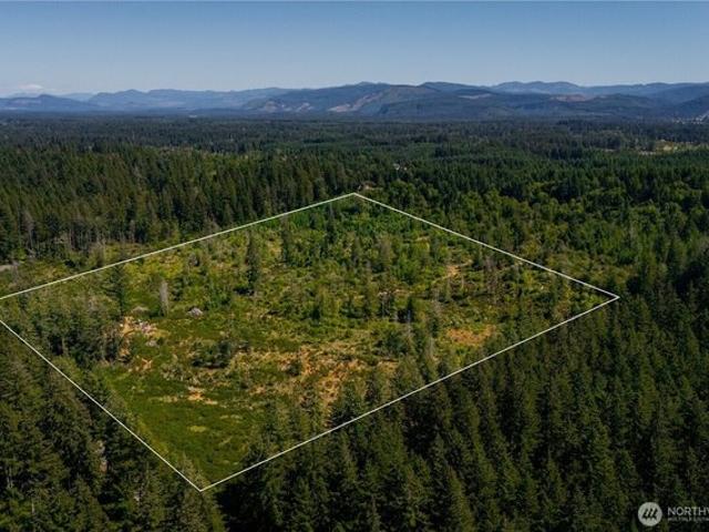 Land for sale in Thurston, Washington