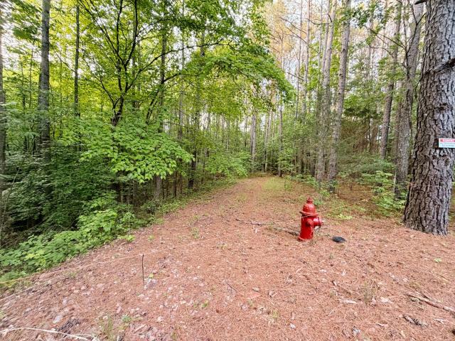 Land for sale in Tennessee