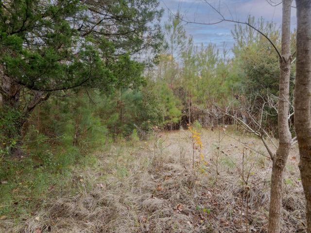 Land for sale in Walterboro, South Carolina
