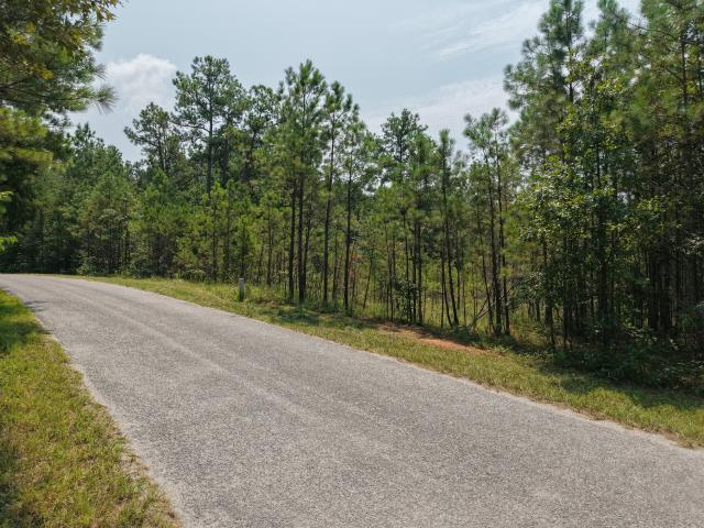 Land for sale in Tennessee
