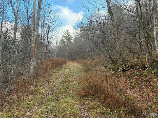Land for sale in Alma, New York