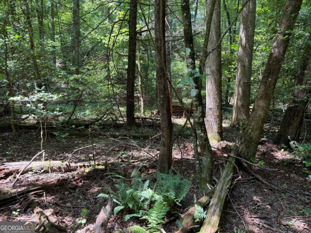 Land for sale in Georgia