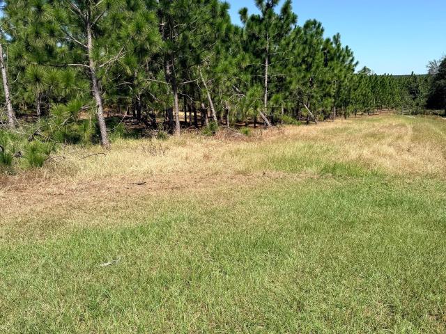 Land for sale in Hazlehurst, Jeff Davis County