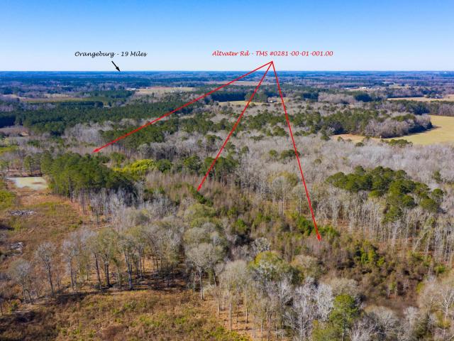 Land for sale in Elloree, South Carolina