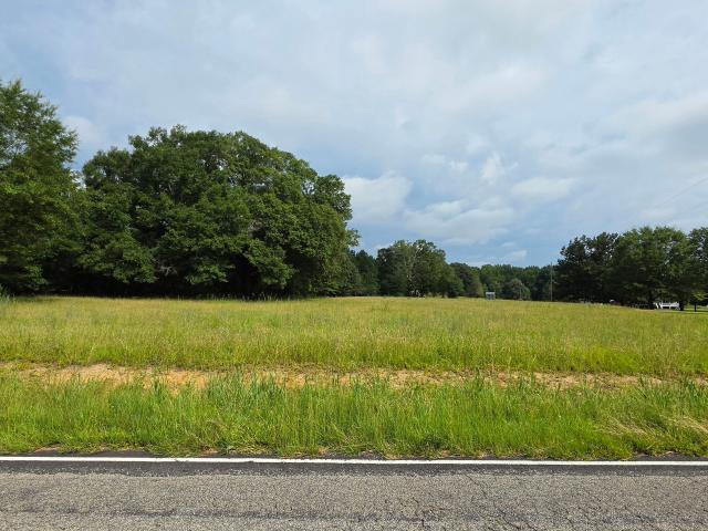 Land for sale in Georgia