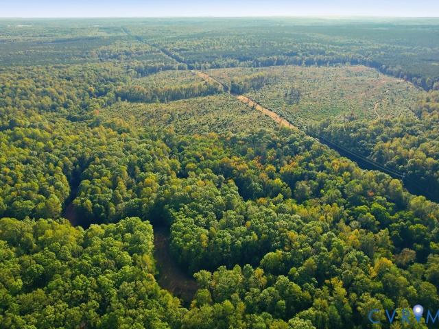 Land for sale in Beaverdam, Buckingham County