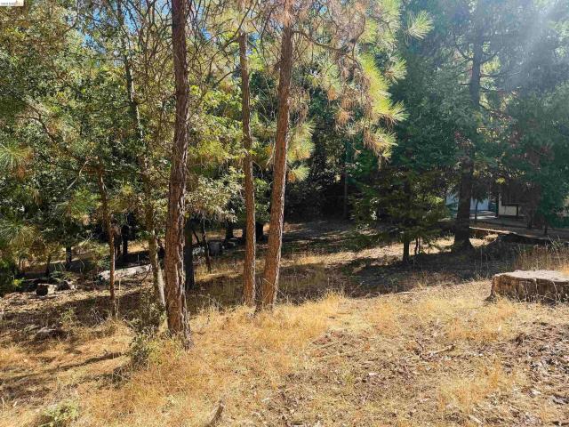 Land for sale in Sonora Meadows, Sonora