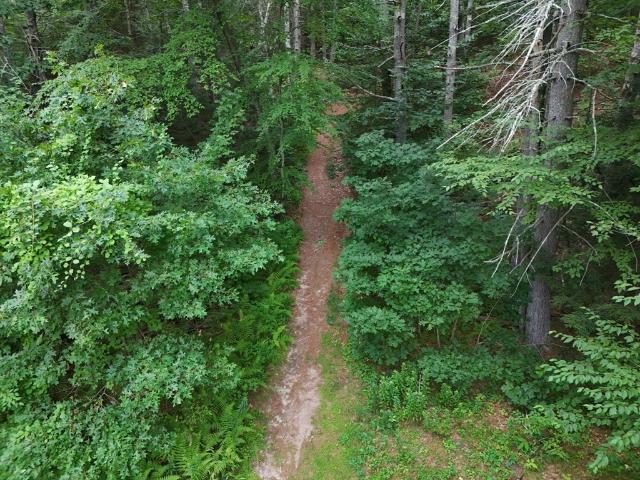 Land for sale in Amherst, Massachusetts